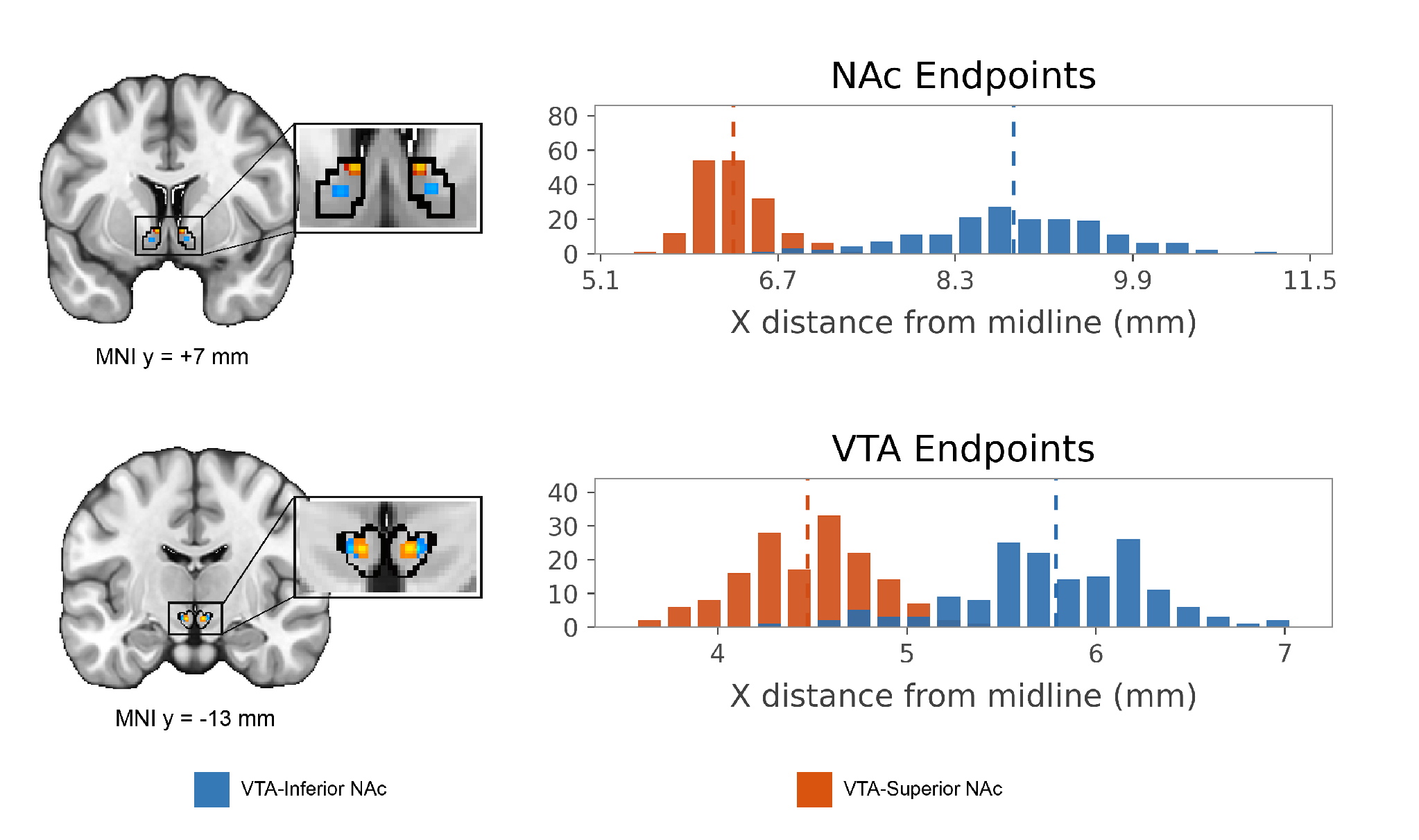 Endpoint topography of the inferior and superior VTA to NAc pathways