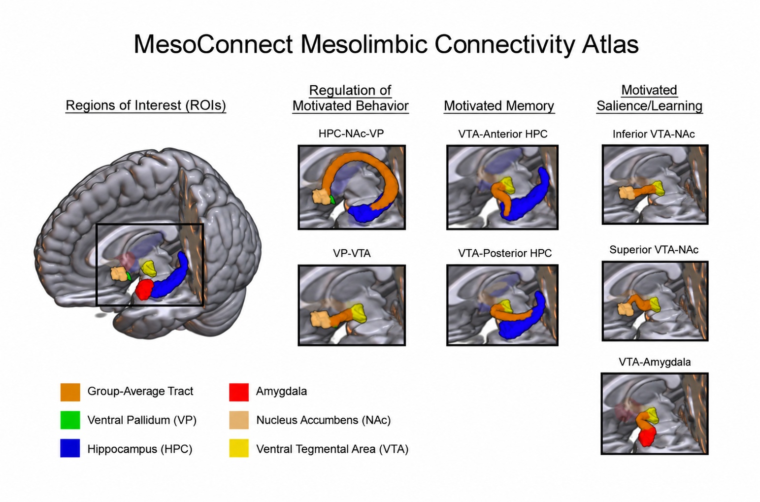 The seven bilateral pathways of the MesoConnect Atlas with their regions of interest